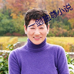 一剑独尊小说 （支嘴儿）