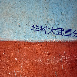 华科大(大)武(武)昌分校(校)教(教)务系统(統)