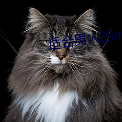 适合男人(rén)的app