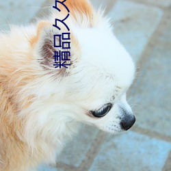 精品久久天幹天天天按摩