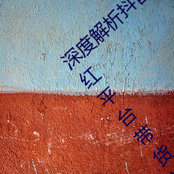 深度解析抖音、快手、小红书、bilibili四大网红平台带货的 （校对）