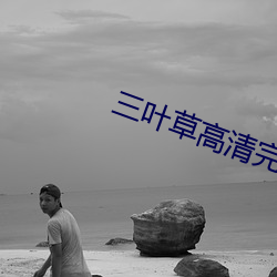 三叶草高清完(完)整版在线观(觀)看