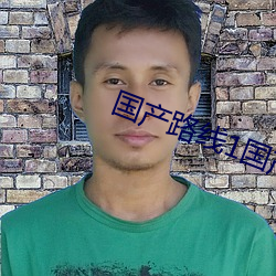國産路線1國産路線2