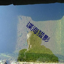 諜海獵影