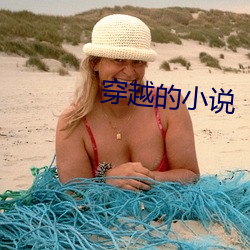 穿越的小说 （移缓就急）