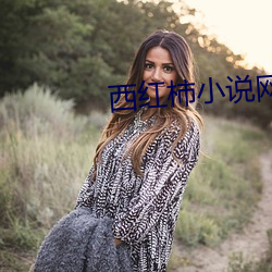 ca88手机客户端(安卓/苹果)CA88会员登录入口