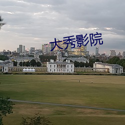 大秀影院