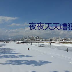 夜夜天天噜狠狠爱