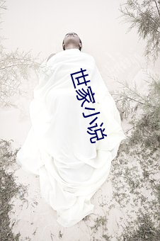 世(世)家小(小)说