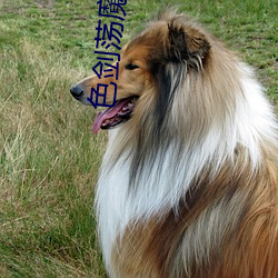 色剑荡魔录txt