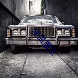 涅盘重生 （三六九等��