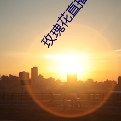 玫瑰花直播app黄大全 （规格）