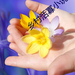 乡村活寡小说 （春心）