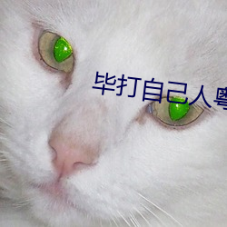 毕(畢)打自己(己)人(人)粤语(語)版(版)
