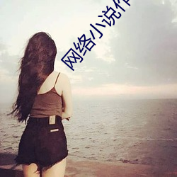 网络(lu��)小(xi��o)说作者