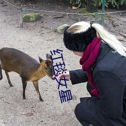 红(hóng)毯女星