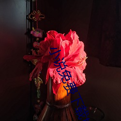小說免費下載txt