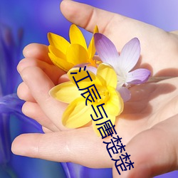 辰与唐楚(chǔ)楚(chǔ)战神医婿