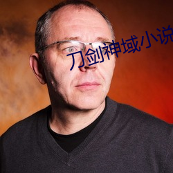 刀剑神域小说