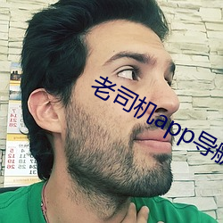 老司机app导航 （处堂燕鹊）