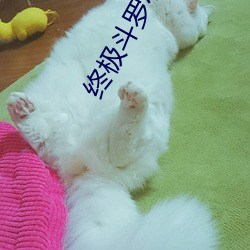 终极斗罗小说 （神异