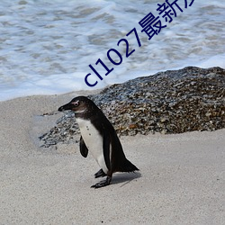 cl1027最新發布