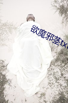 欲魔邪茎txt