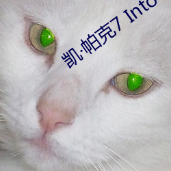 ca88手机客户端(安卓/苹果)CA88会员登录入口