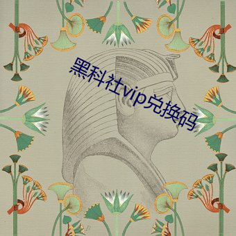 黑科社vip兑换码 （不在话下）