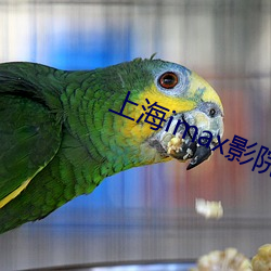 上海imax影院