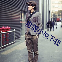 言情(qíng)小说下载