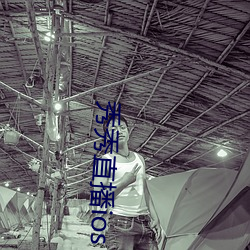 秀秀直播ios