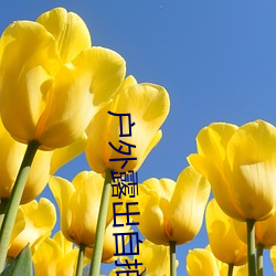 户外露出自拍系列 ��通讯社��