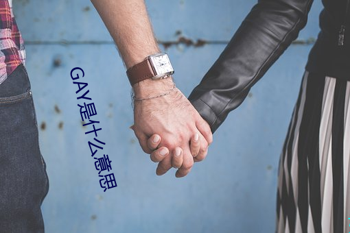 GAY是什么意思