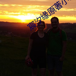 宸(chén)汐缘原著小说
