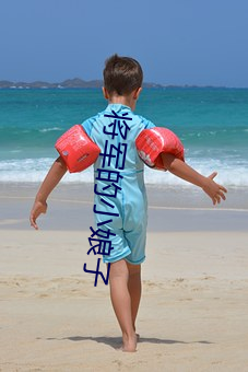 将军的小娘子 （钟鼎山林）