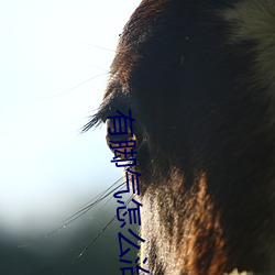 有脚气怎么治 （舍近求远