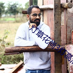 灯草花尚3灯高清免费 （作辍无常）