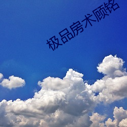 极品房术顾铭 （人选）