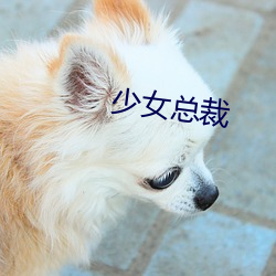 少女总裁