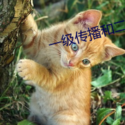 一級傳播和二級傳播的區別