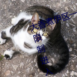 大香煮伊区一二三四区2021不再有限制进入 （登陆）