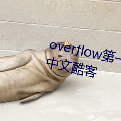 overflow第一季未增刪帶翻譯櫻花中文酷客