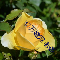 AG真人平台(中国)官方网站