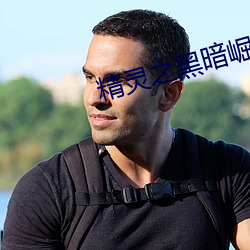精灵(靈)之(之)黑(黑)暗崛起