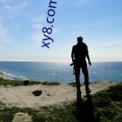 xy8.com