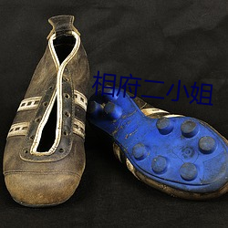 相府二(èr)小姐