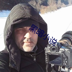 黑暗(暗)小说