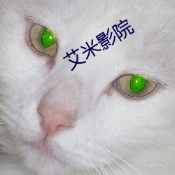 金年会(中国)官方网站