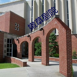 嫩草剧院